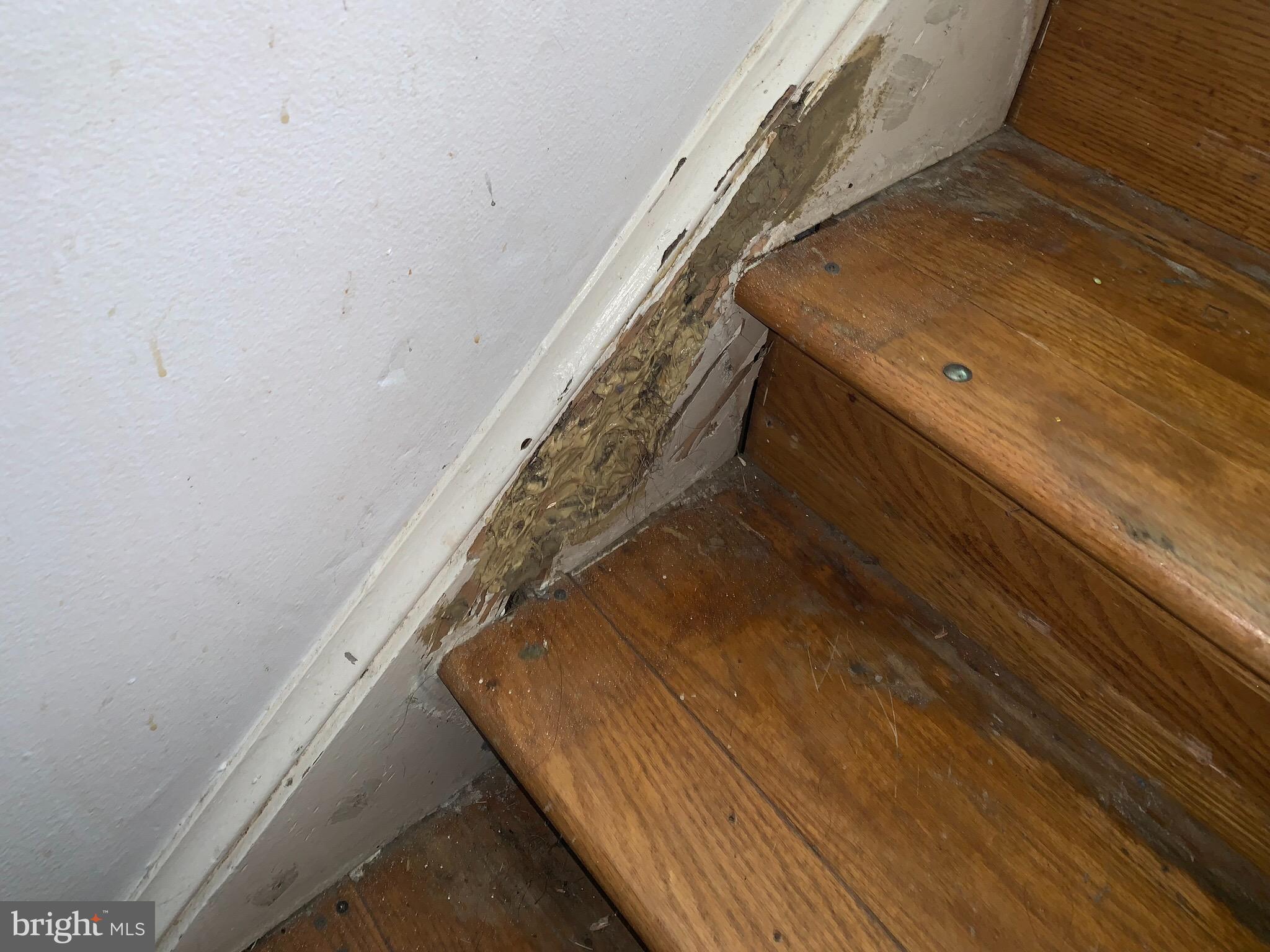 CLINTON - Residential