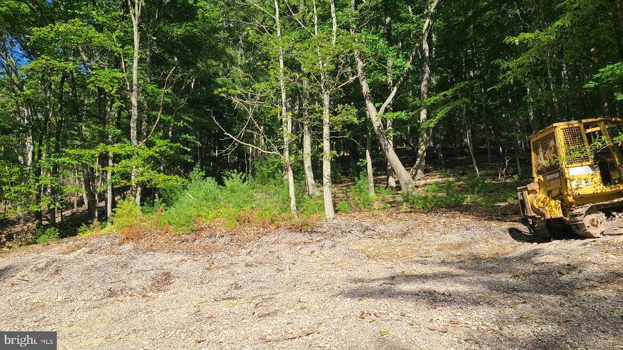 BUCK RIDGES (FORMERLY TREASURE MOUNTAINS) - Land