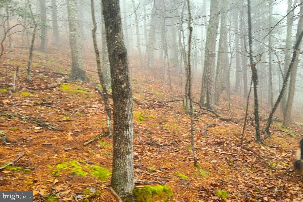 BUCK RIDGES (FORMERLY TREASURE MOUNTAINS) - Land