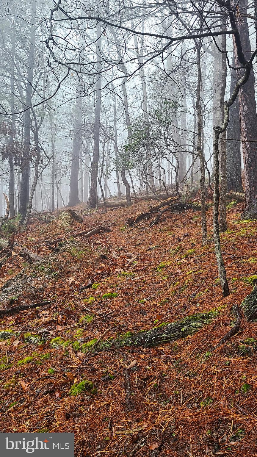 BUCK RIDGES (FORMERLY TREASURE MOUNTAINS) - Land
