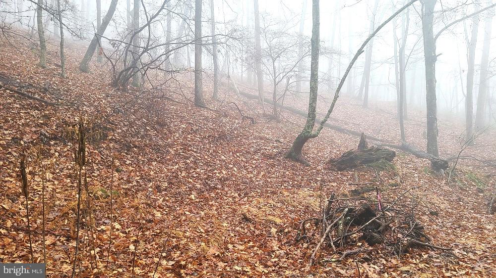 BUCK RIDGES (FORMERLY TREASURE MOUNTAINS) - Land