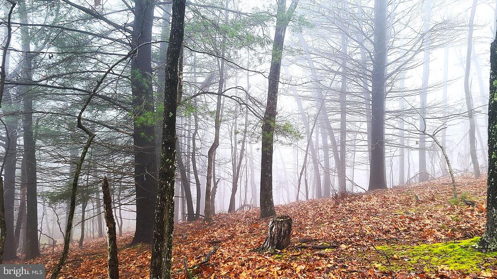 BUCK RIDGES (FORMERLY TREASURE MOUNTAINS) - Land