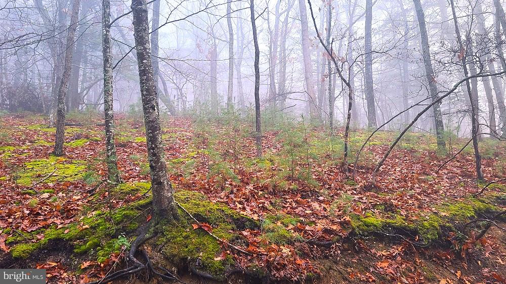 BUCK RIDGES (FORMERLY TREASURE MOUNTAINS) - Land