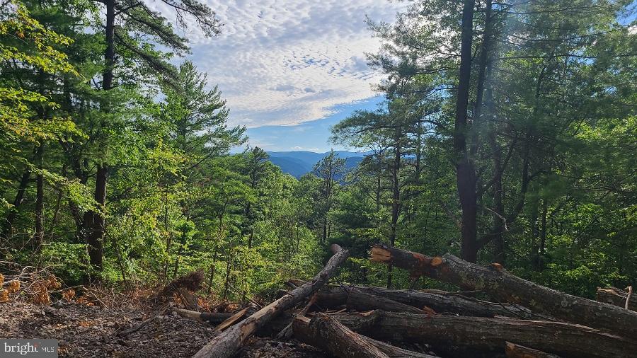 BUCK RIDGES (FORMERLY TREASURE MOUNTAINS) - Land