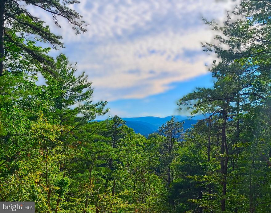 14.47 Acres located in Buck Ridges Development.  Secluded, wooded lot.  Come build your dream cabin getaway!  Electric nearby. Gated community for extra privacy.  Some covenants & restrictions apply. Property Owners Association with yearly road maintenance fee.

**Update:  Seller has put in a road, created a building pad and opened up to a great view! Updated pictures coming soon.