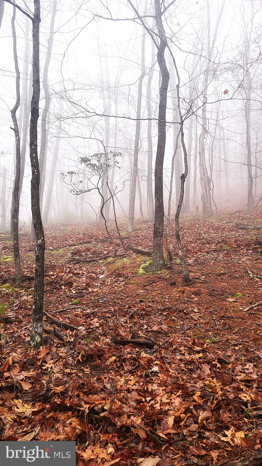BUCK RIDGES (FORMERLY TREASURE MOUNTAINS) - Land