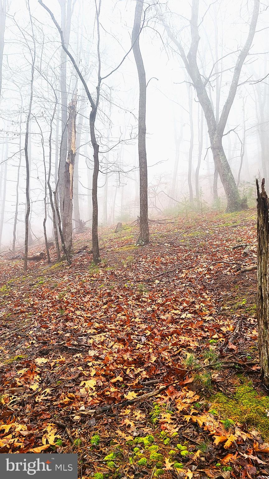 BUCK RIDGES (FORMERLY TREASURE MOUNTAINS) - Land
