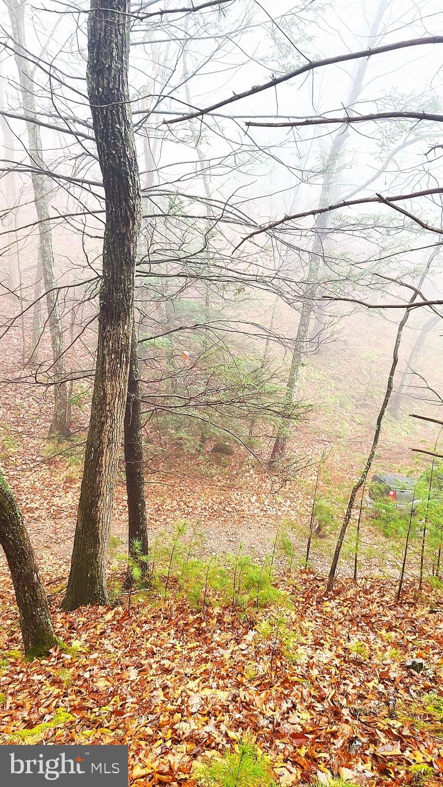 BUCK RIDGES (FORMERLY TREASURE MOUNTAINS) - Land