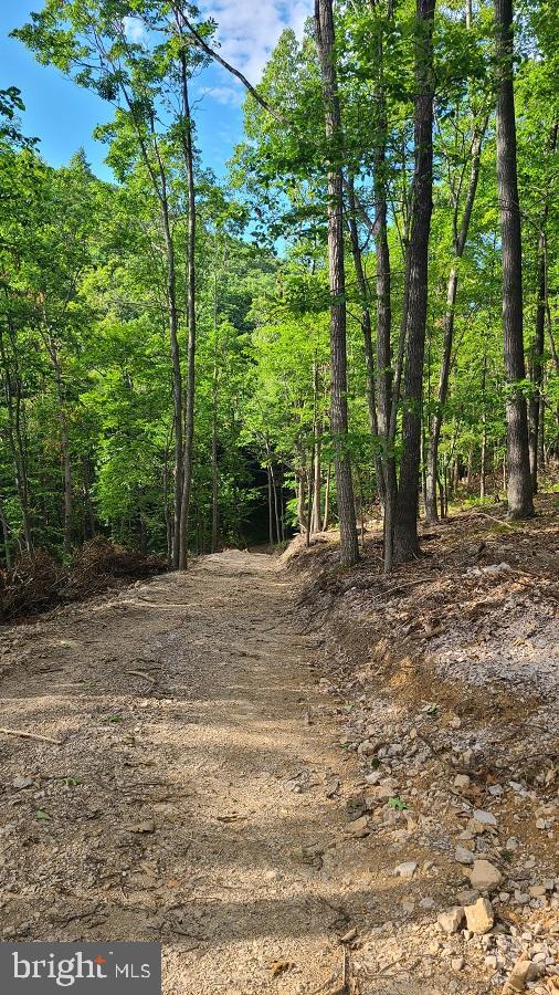 BUCK RIDGES (FORMERLY TREASURE MOUNTAINS) - Land