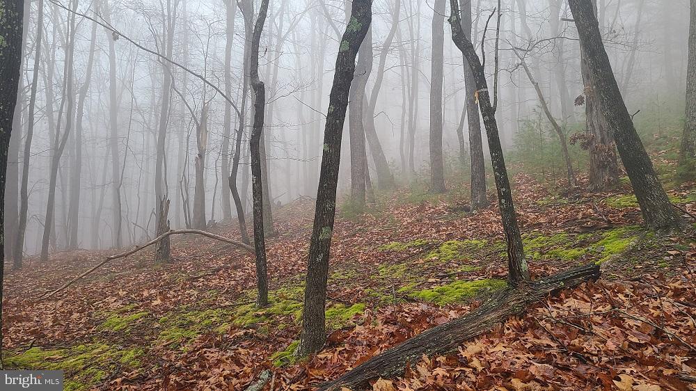 BUCK RIDGES (FORMERLY TREASURE MOUNTAINS) - Land