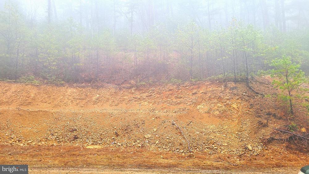 BUCK RIDGES (FORMERLY TREASURE MOUNTAINS) - Land