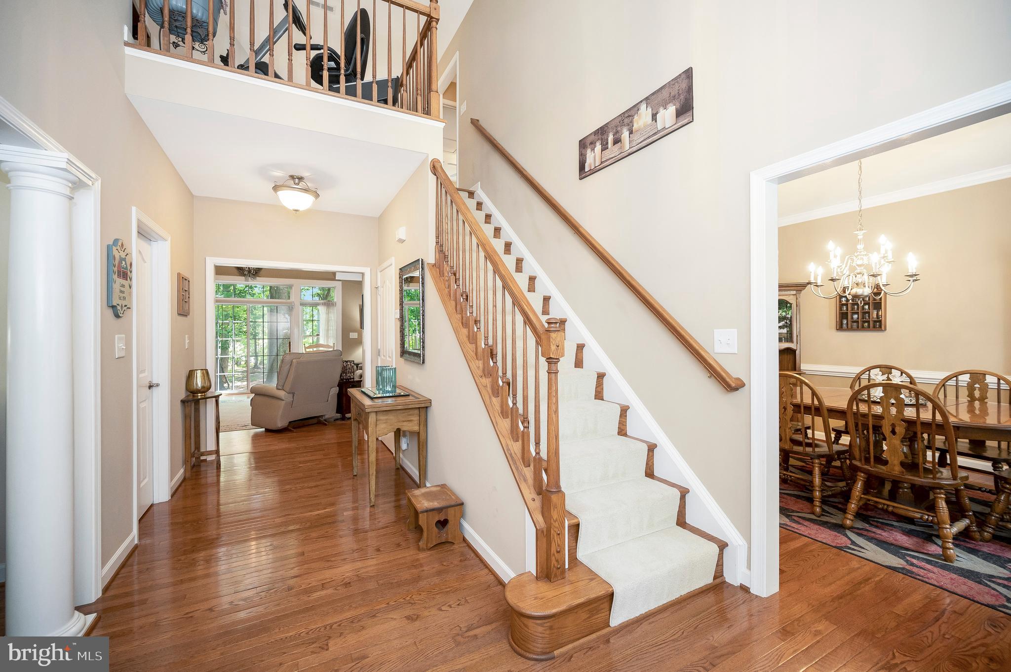 LAKE OF THE WOODS - Residential