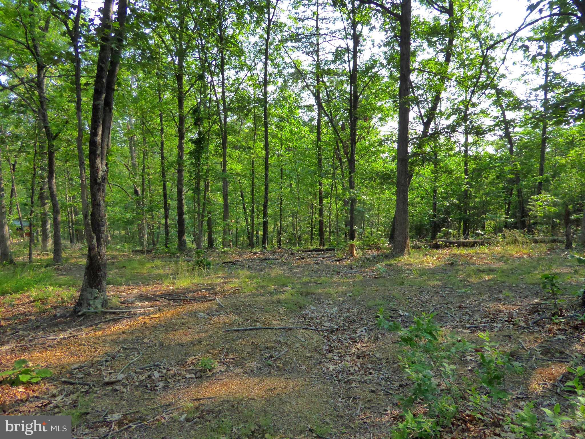 1.6 ACRE LEVEL WOODED PARCEL. GREAT CAMPING SITE WITH HARD TOP ROADS AND CONVENIENT TO TOWN, DINING AND SHOPPING. THIS LOT IS LESS THAN 10 MILES FROM THE SOUTH BRANCH POTOMAC RIVER. YOU CAN ENJOY A DAY ON THE RIVER FLOATING, FISHING, OR SWIMMING AND THEN HEAD BACK TO YOUR PRIVATE CAMP SITE TO SETTLE AROUND A FIRE WITH S'MORES.