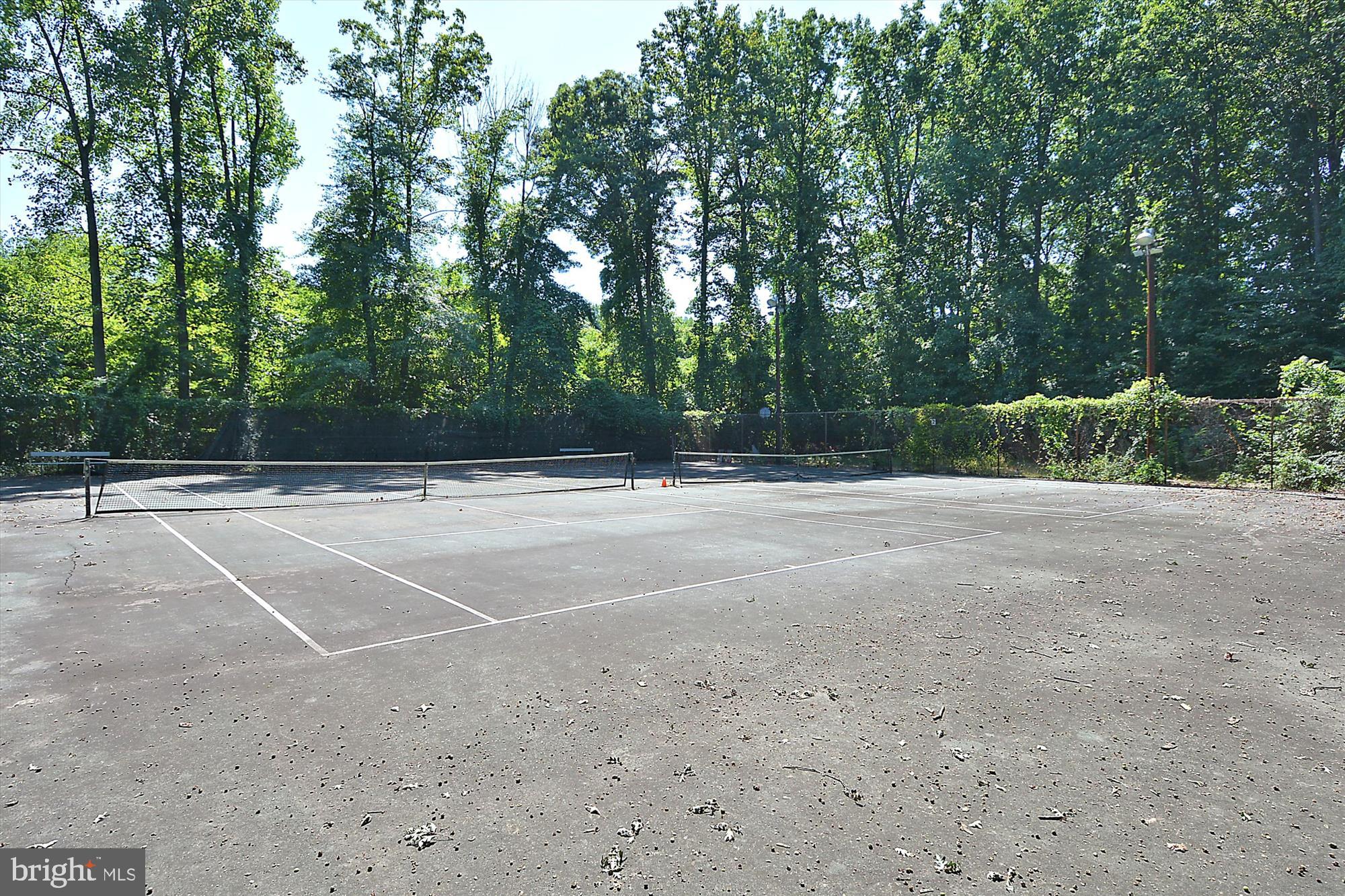 NORTH SPRINGFIELD - Residential