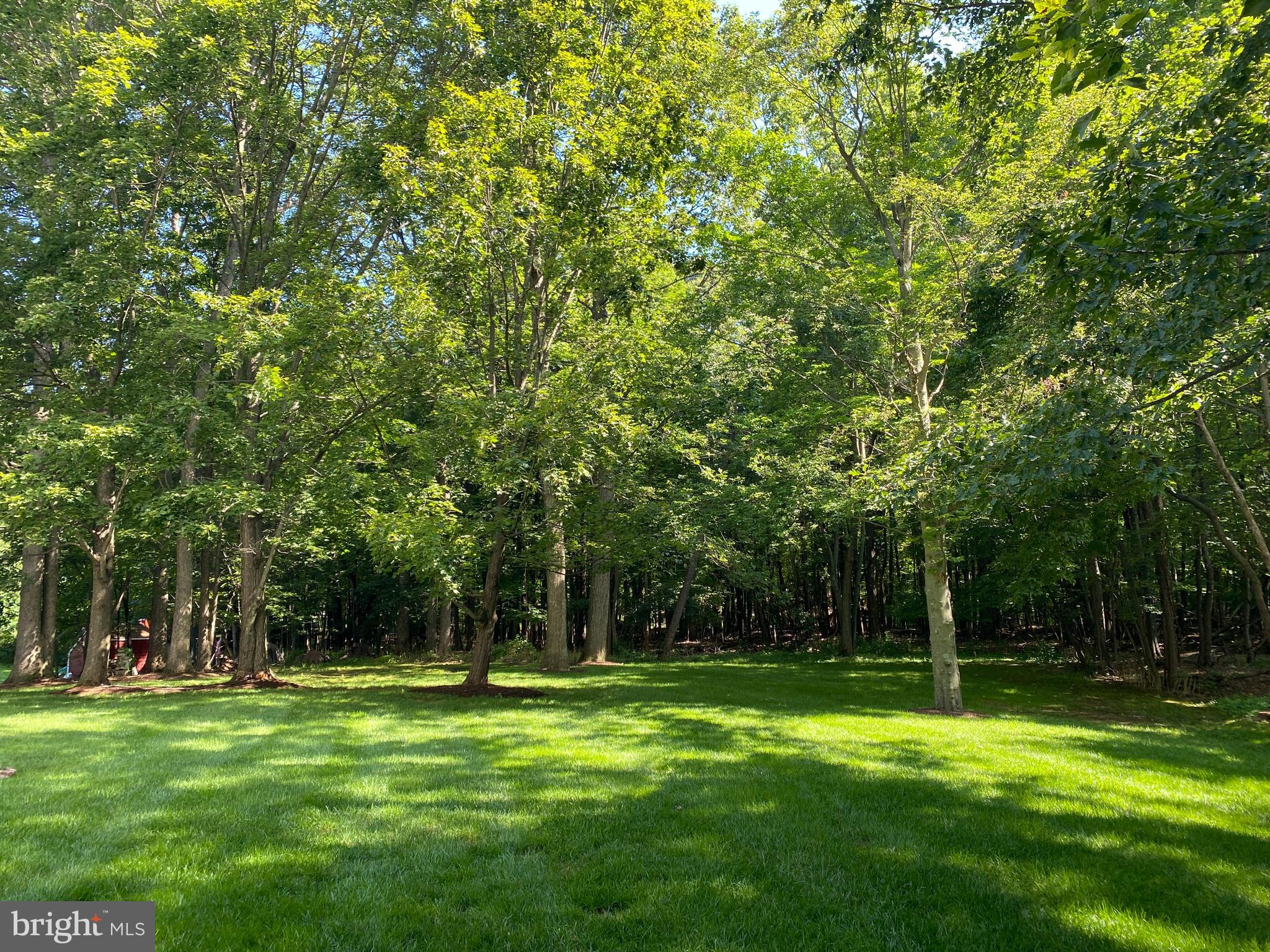 WILDERNEST - Residential