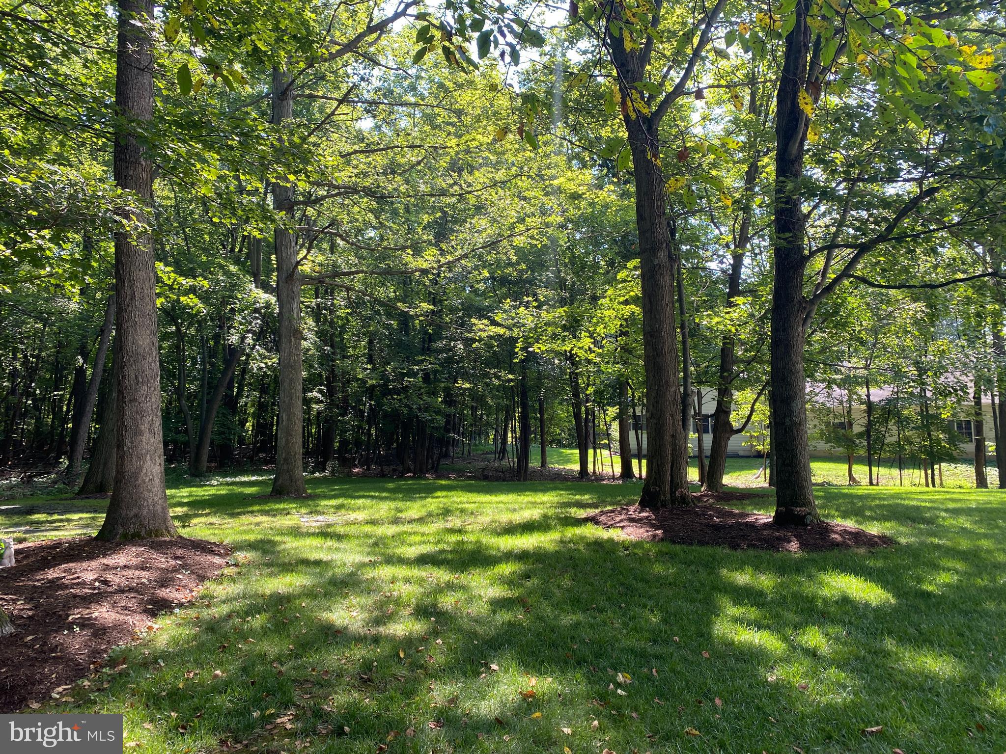 WILDERNEST - Residential