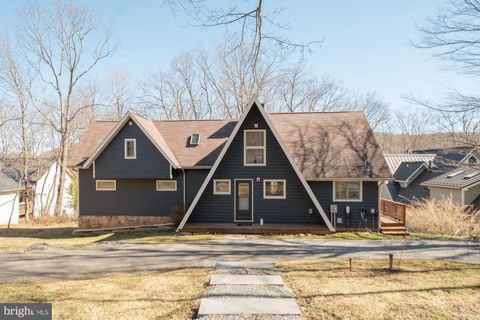 1723 MARSH HILL ROAD MC HENRY MD 21541