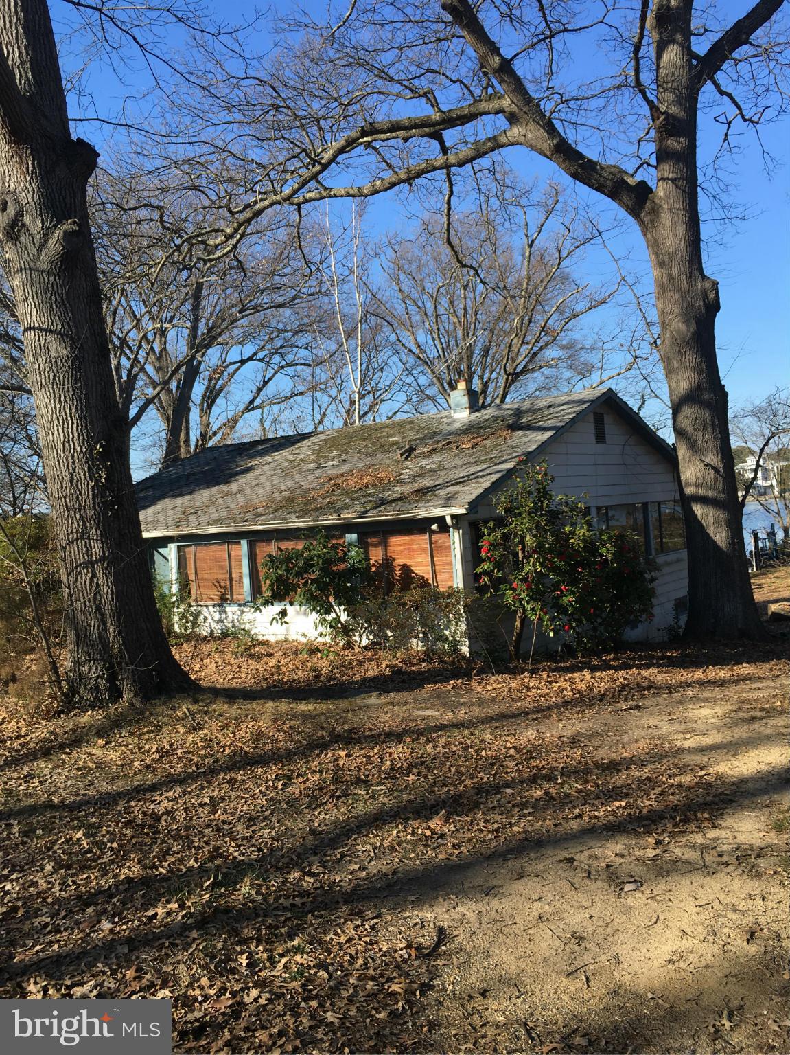 COBB ISLAND - Residential