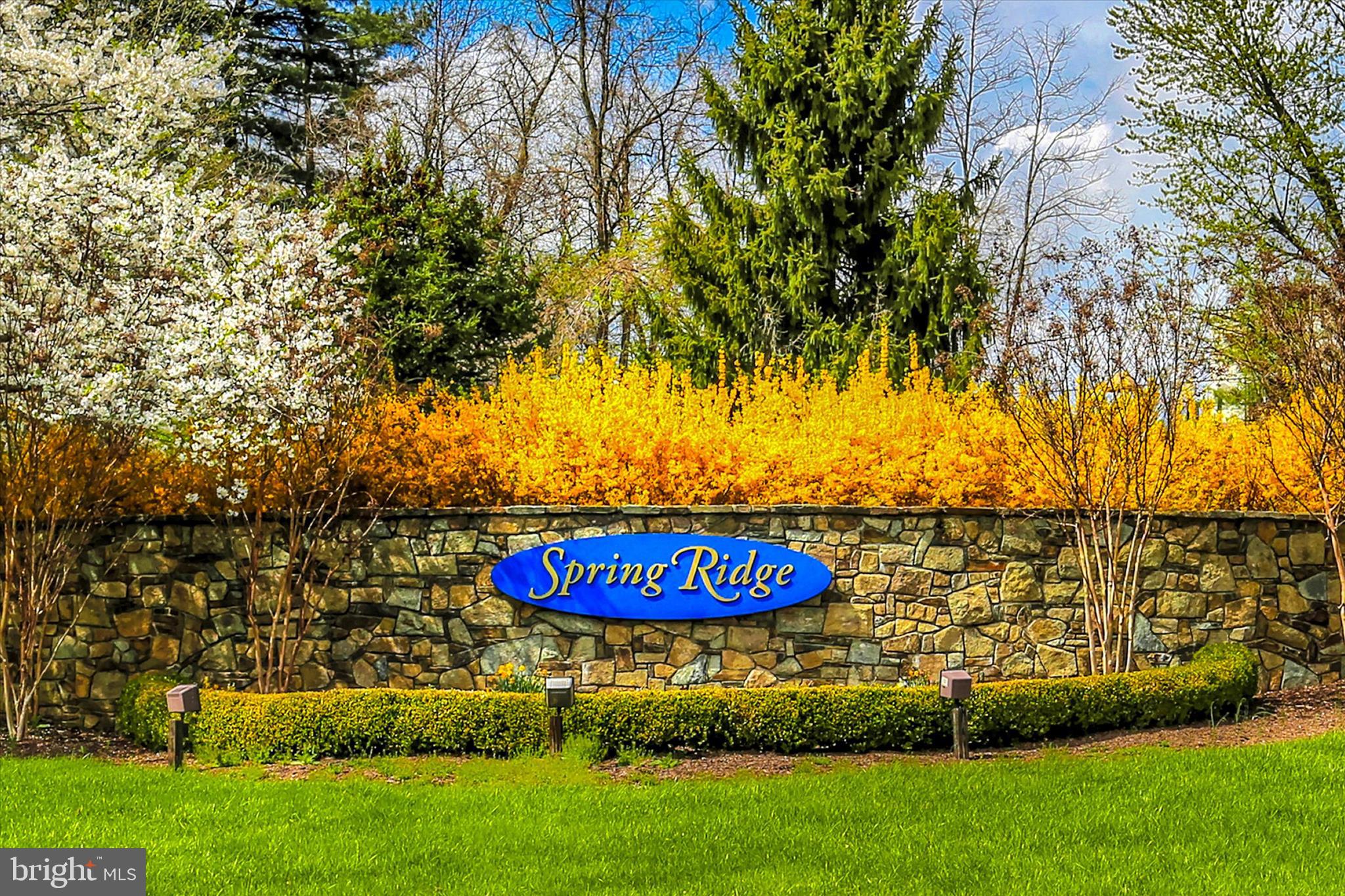 SPRING RIDGE - Residential