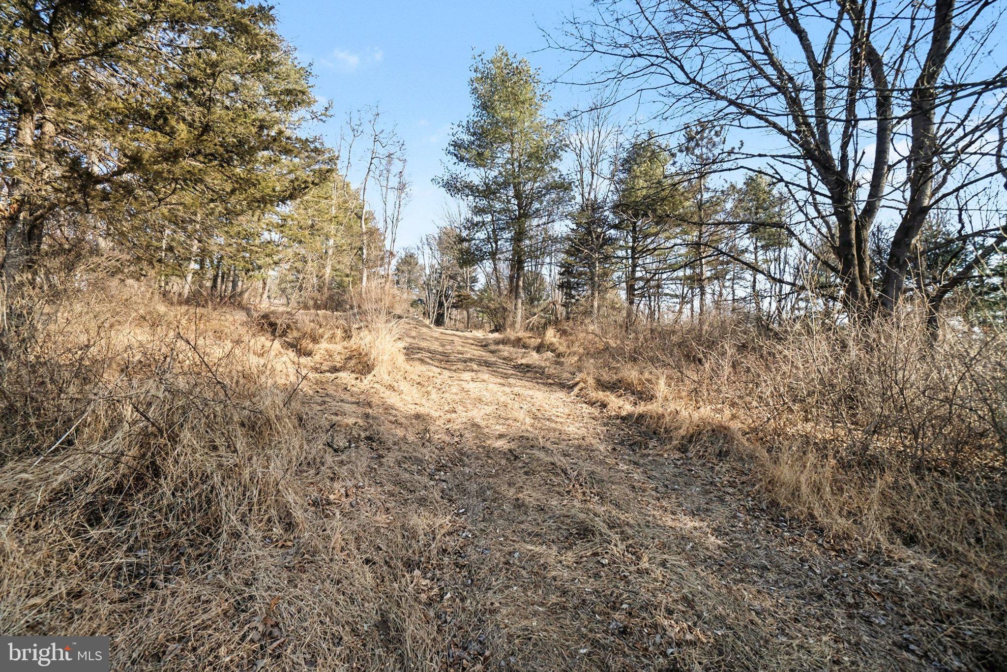 00 PARADISE RD LOT 4