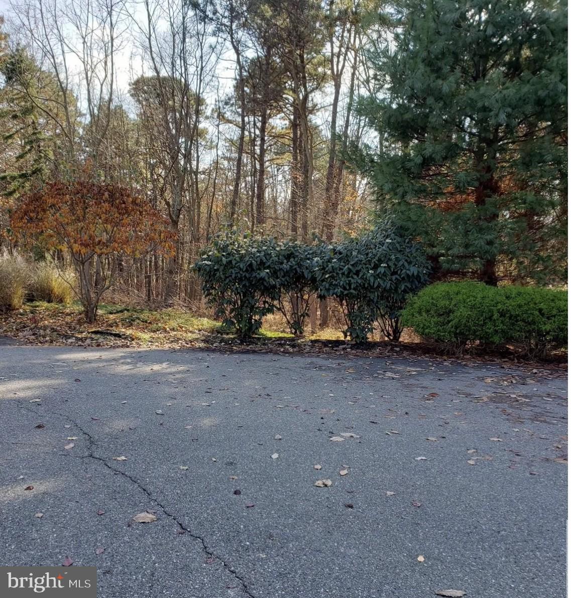 205 BLUE HERON COURT