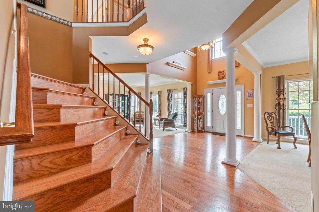 MAXA MEADOWS - Residential