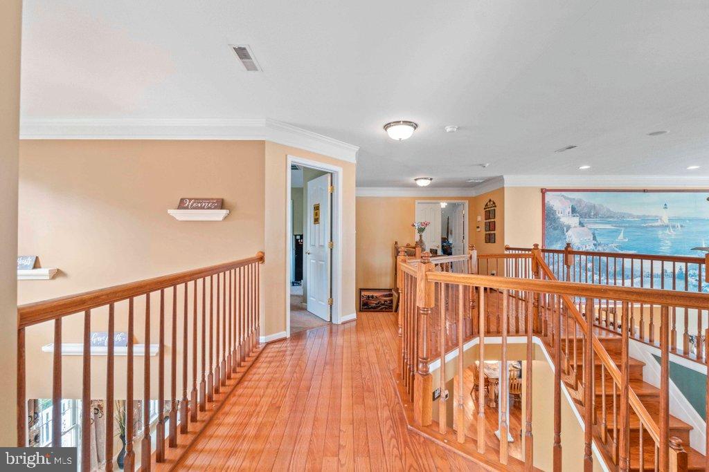 MAXA MEADOWS - Residential