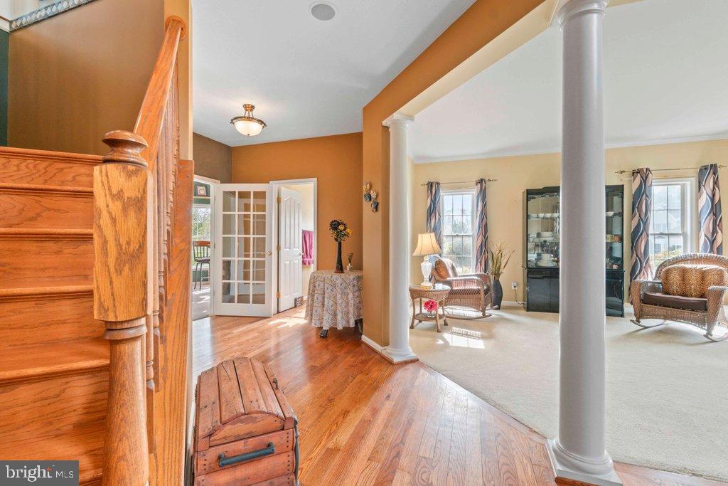 MAXA MEADOWS - Residential