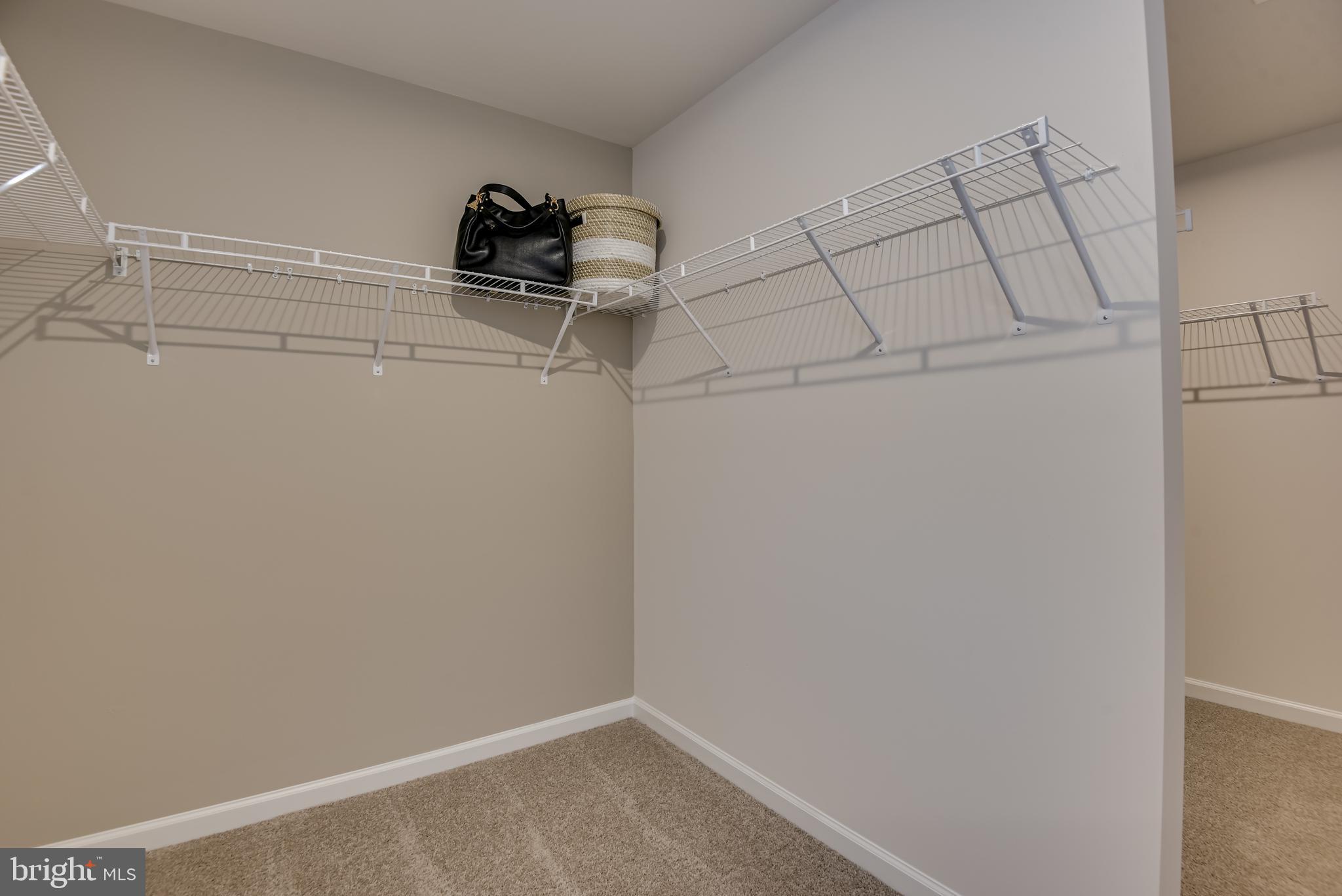 BRANDYWINE WOODS - Residential