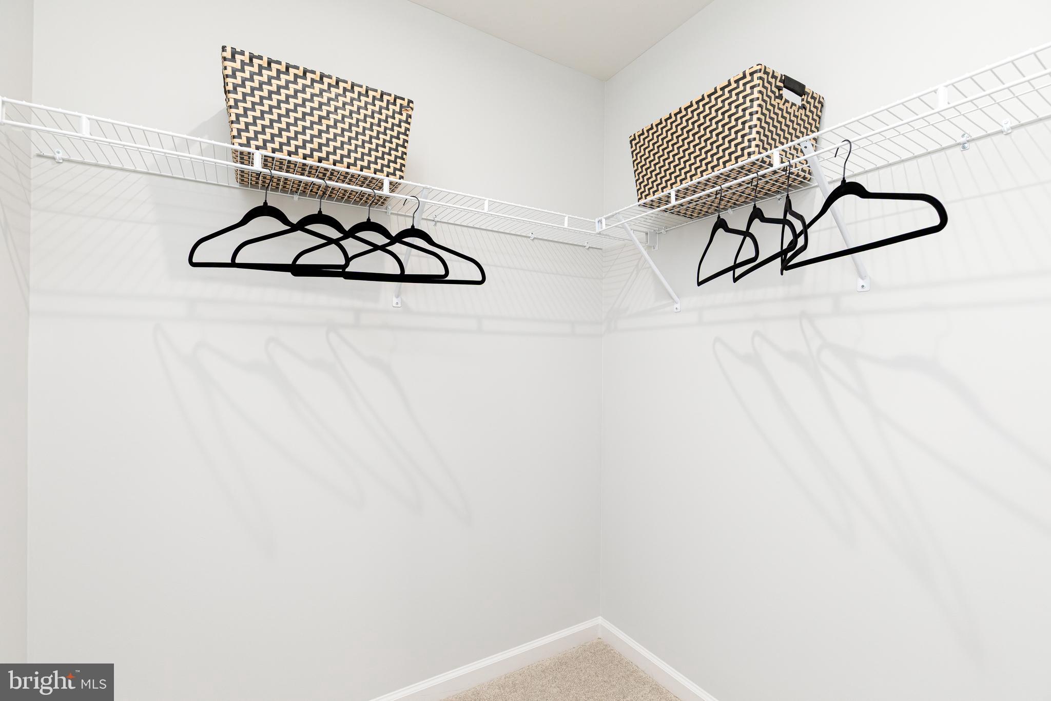 BRANDYWINE WOODS - Residential