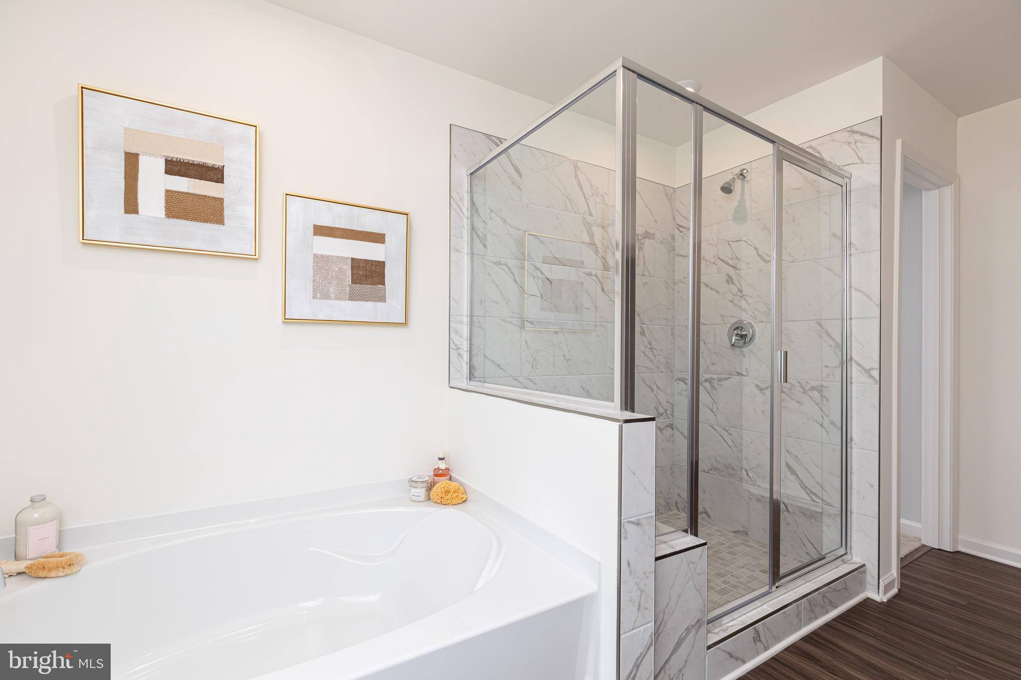 BRANDYWINE WOODS - Residential