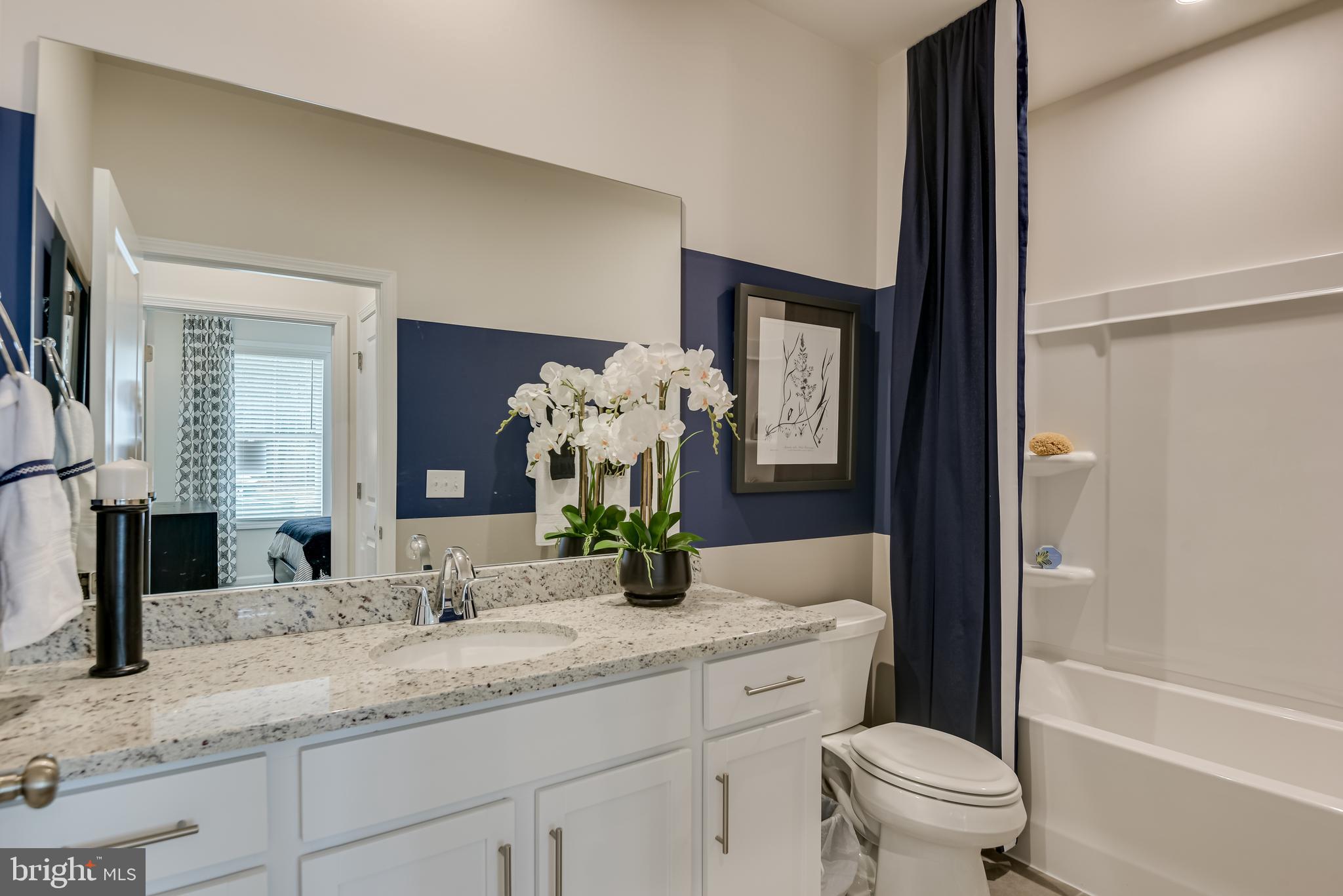 BRANDYWINE WOODS - Residential