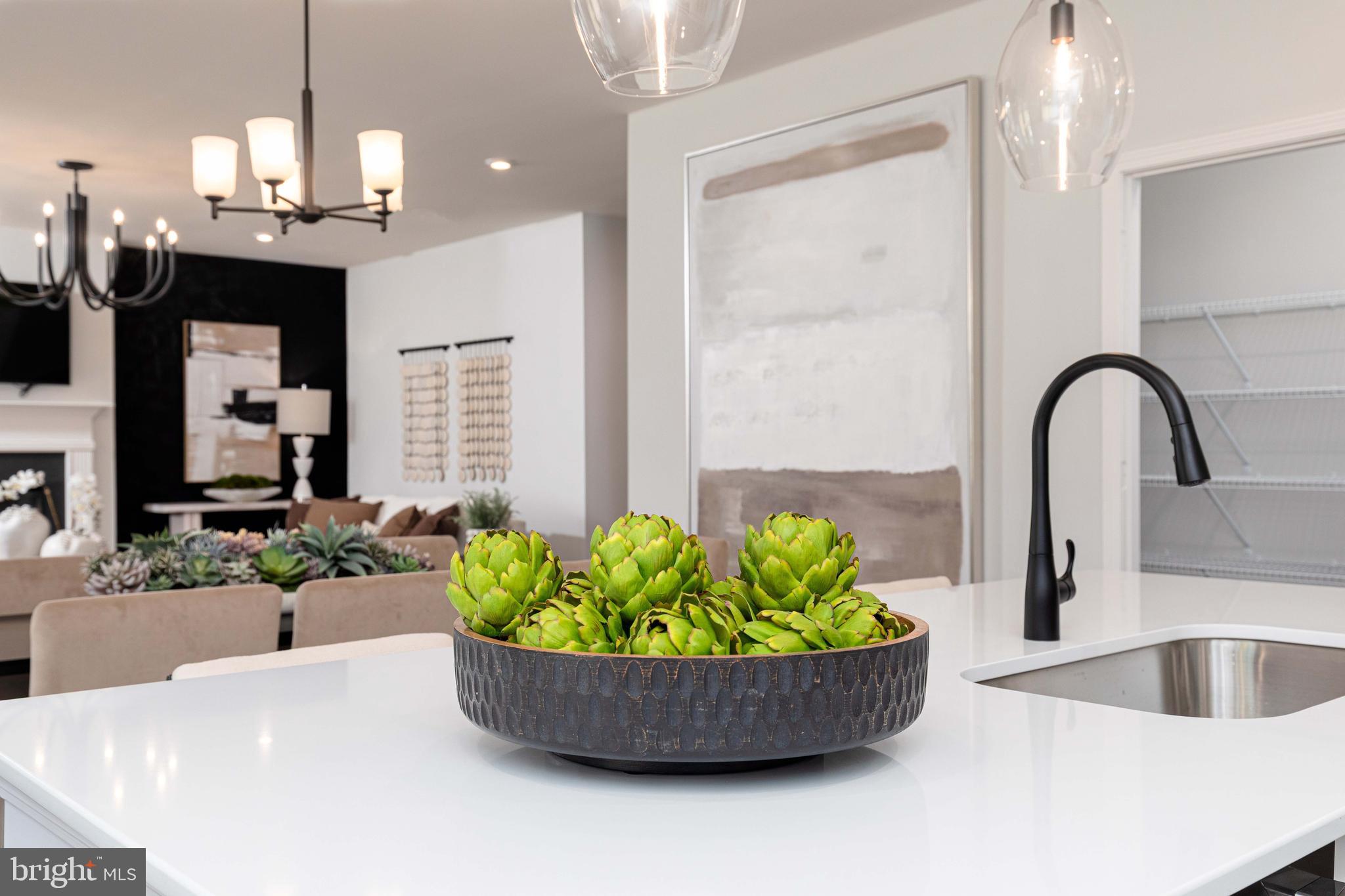 BRANDYWINE WOODS - Residential