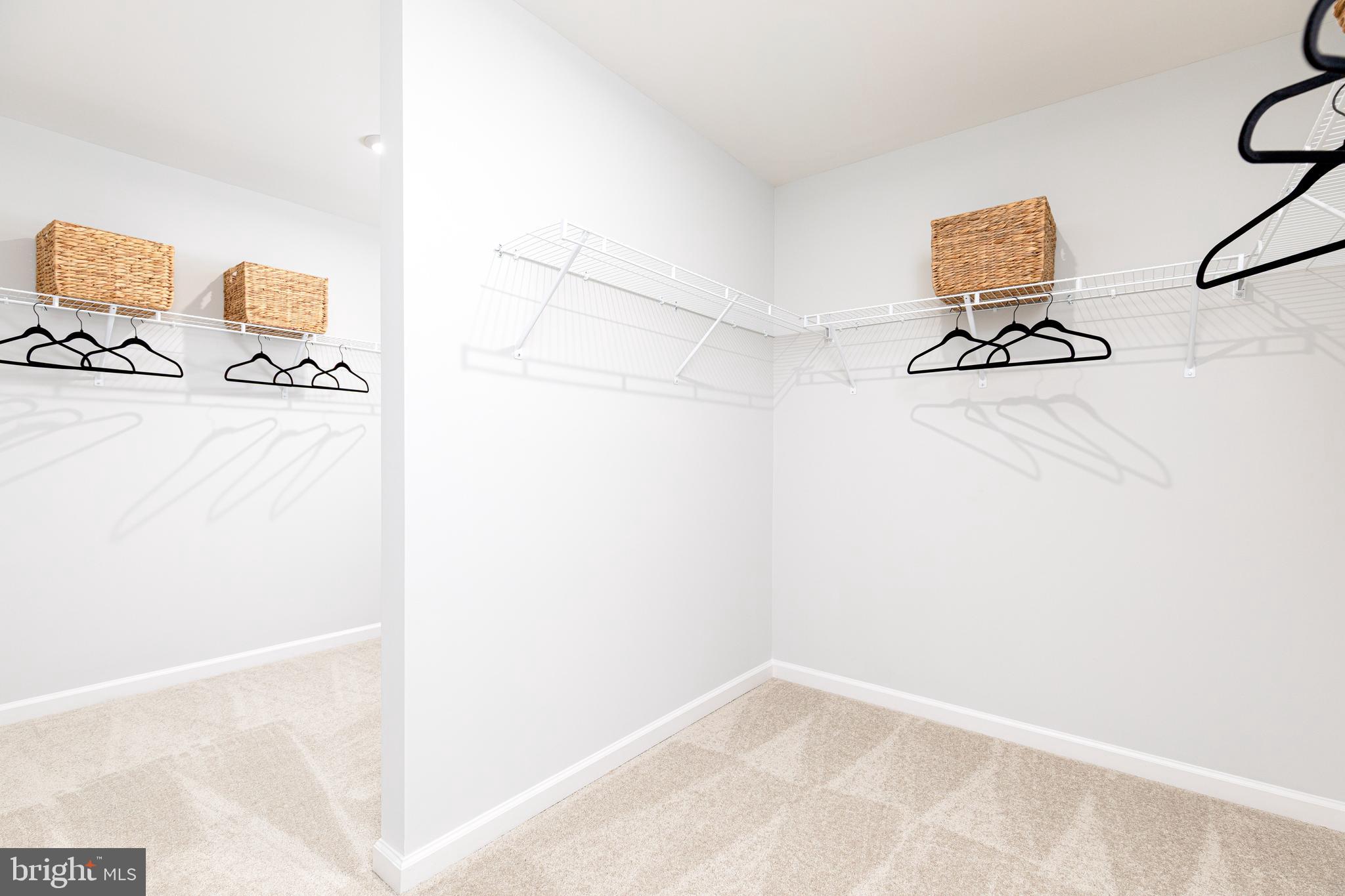 BRANDYWINE WOODS - Residential