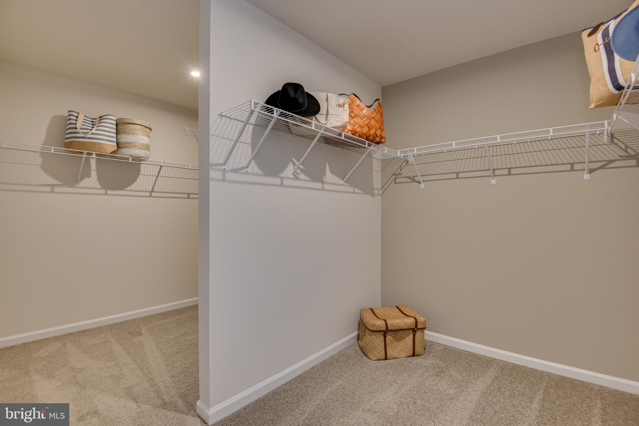 BRANDYWINE WOODS - Residential