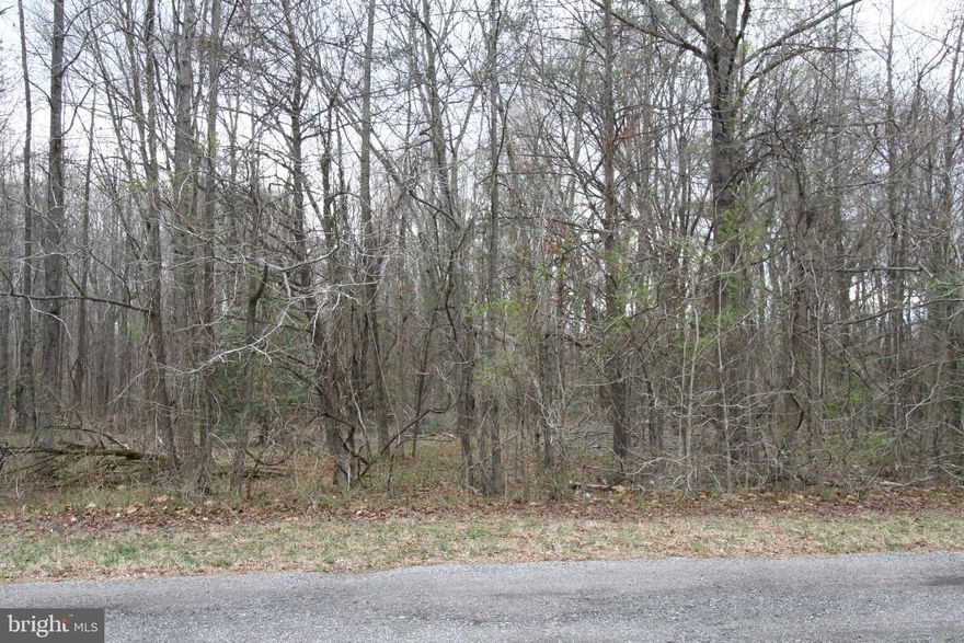 Land 3.1 Acres sub-dividable near Route 5 and 301. Developments are being built all around the area.
Perfect opportunity for the savvy investor or someone looking to have space and quiet away from the neighbor yet close to every need.  Public water available