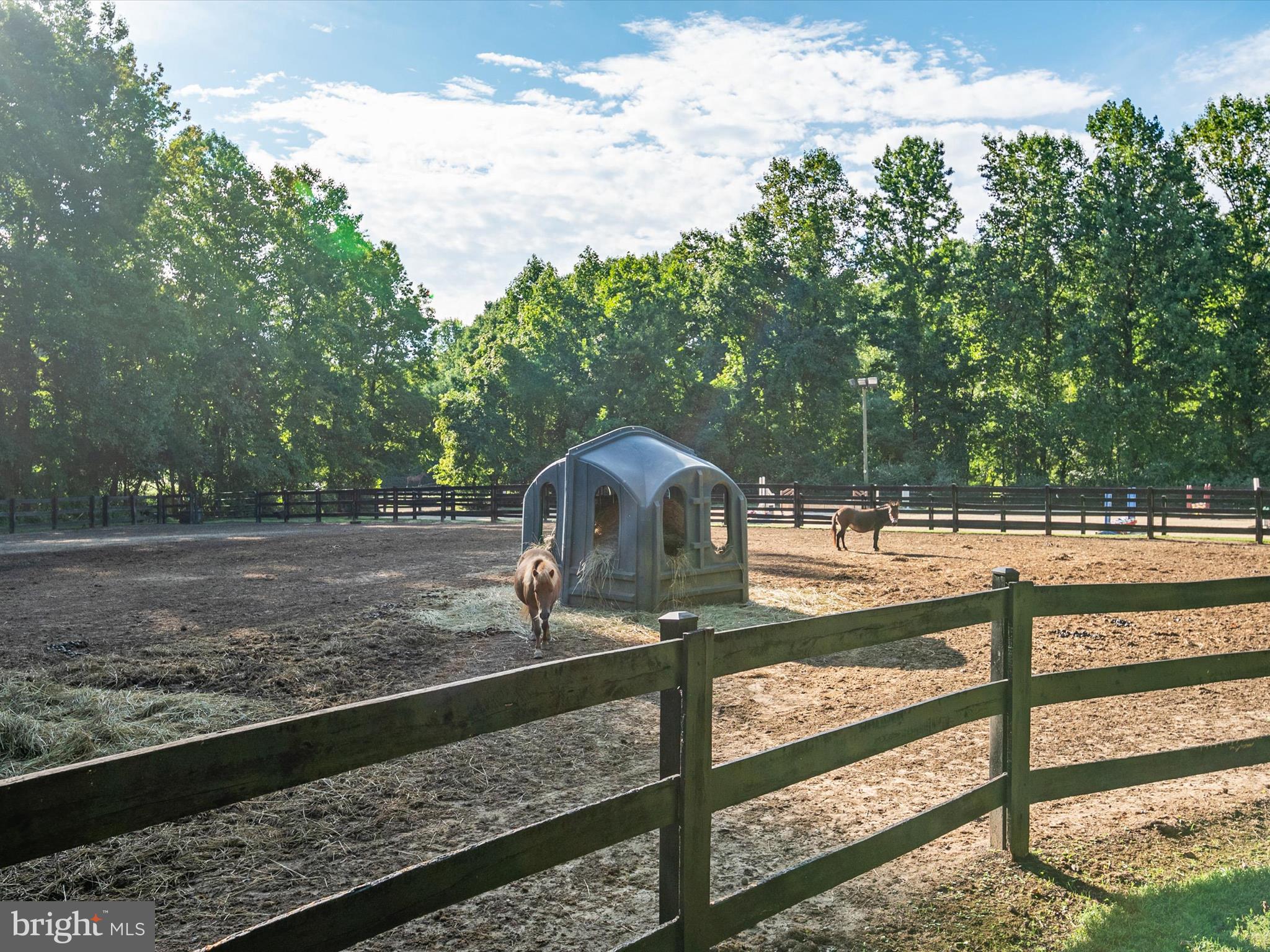 SPRING FIELDS - Residential