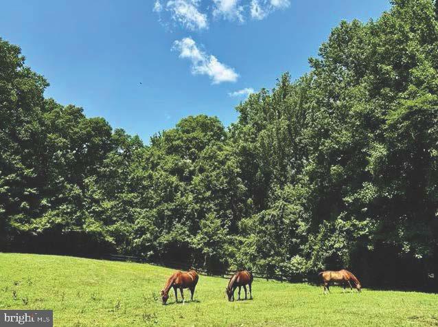 SPRING FIELDS - Residential