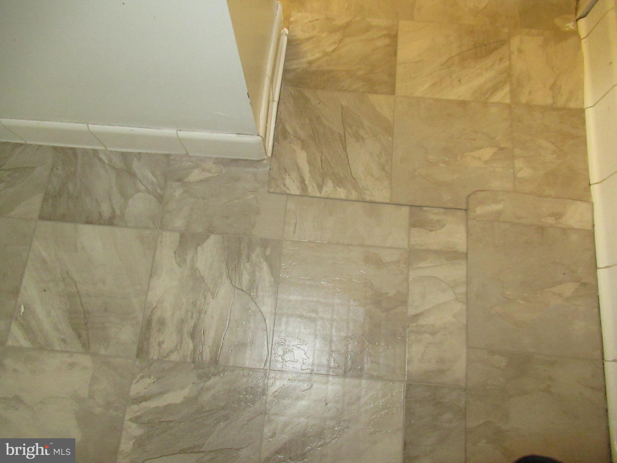 CENTENNIAL VILLAGE - Residential