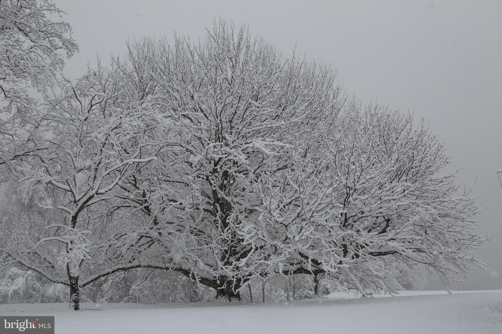 BOHEMIA MANOR - Residential