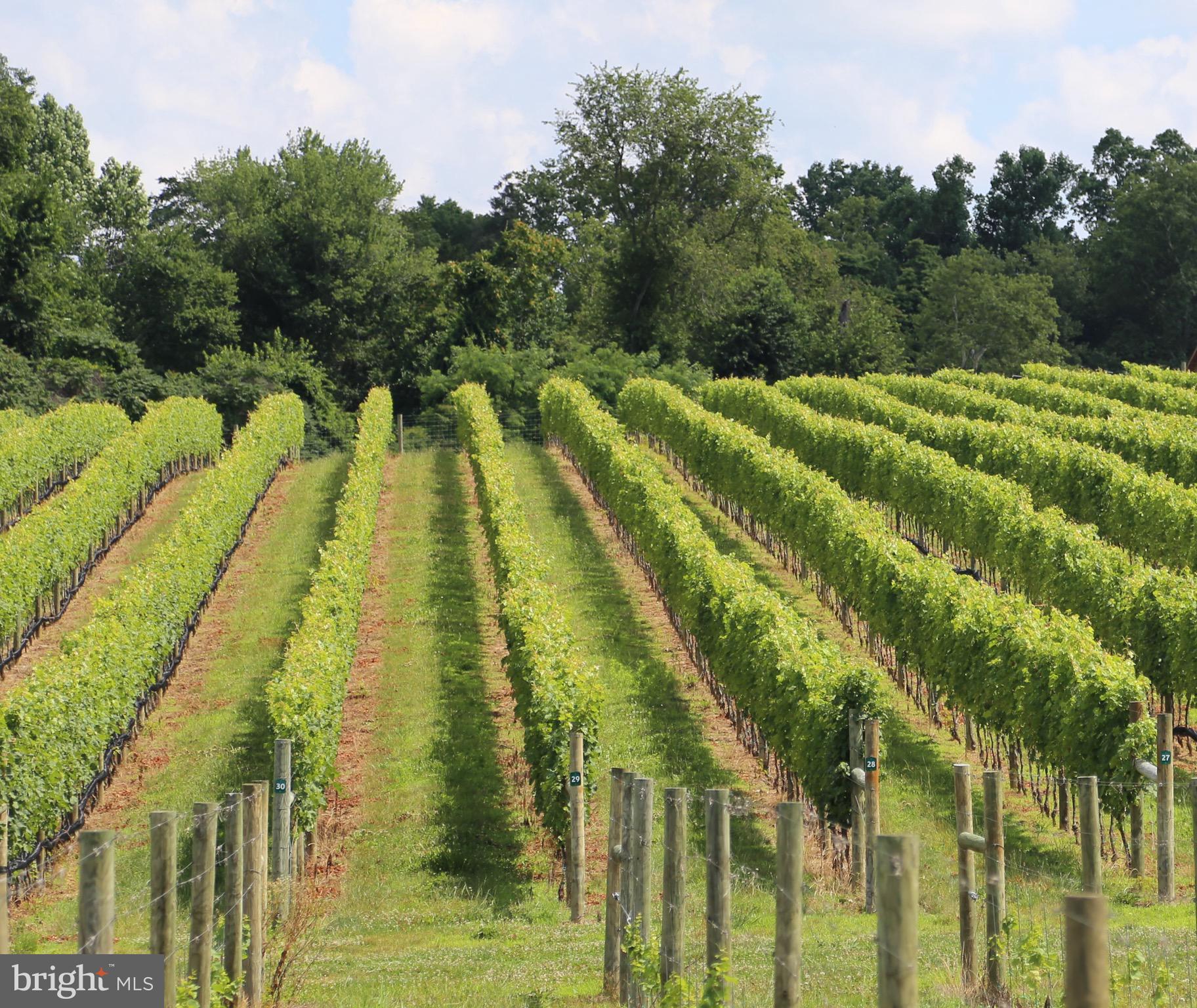 BOHEMIA MANOR - Residential