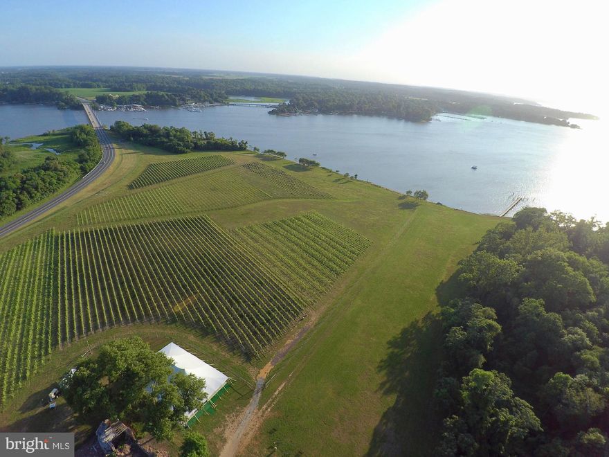 ***PRICE REDUCED TO $10M*** 

Discover the rare gem of Bohemia Manor Farm, a historic estate, vineyard, winery, and event venue in Chesapeake City, Maryland. Situated on 368 acres with over two miles of breathtaking waterfront, the estate boasts a 12,750 sq. ft. Georgian-style brick home, fully renovated guest house, and multiple other buildings, all overlooking the scenic Bohemia River.

With a rich history dating back to Augustine Herman, the first Lord of the manor, Bohemia Manor Farm offers the perfect combination of history and modern-day luxury. The exquisite manor home features 11 bedrooms, 9 full and 4 half baths, 10 fireplaces, a grand ballroom, temperature-controlled storage rooms, a basement, four-car garage, and a swimming pool. The Manor home was built by Senator Thomas Bayard in 1920, and restored to its former glory in 2005.

Chateau Bu-De Winery & Vineyard, with 30,000 visitors per year and several hundred wine club members, is the crown jewel of the estate. The vineyard, established in 2014, boasts nearly 60,000 vines of Chardonnay, Sauvignon Blanc, Gruner Veltliner, Pinot Blanc, Cabernet Sauvignon, Cab Franc, and Pinot Noir, all producing high-quality grapes for award-winning wines. The state-of-the-art 11,500 sq. ft. production facility, 15,000 sq. ft. tasting room with ballroom and entertainment spaces, and a 5,000 sq. ft. storage barn, make this winery a top destination for wine lovers.

Upwards of 5,000 cases are produced annually, with 10,000 case capacity custom production tanks and goods storage room. Up to 10,000 case capacity possibly based on current grape production.

Bohemia Manor Farm also offers a thriving wedding and event venue business, with events booked into 2024. Food is served on site, and the Tasting Room building includes a full catering kitchen.

346 of the 368 acres are under conservation easement, while 138 acres are leased out to third-party farmers for additional income.

With endless growth and business opportunities, this estate offers a chance to run a successful bed and breakfast, possible restaurant, or a short-term rental business that would be complimentary to existing use as event venue (wedding parties/guests are often seeking nearby accommodation). The vineyards can continue to be used for estate wine or bulk sales, or leased to third parties for passive income, while the winery can be maintained or increased, or rented as a custom crush facility to other vineyards in the area.

This offering includes many valuable pieces of high-end machinery and equipment, as well as intangible assets such as the trademarks of Bohemia Manor Farm and the name Augustine Herman.

Inventory will be sold separately. An additional 69 acres are also available for purchase.

Key staff willing to stay on under new ownership.

Don’t miss the chance to own a piece of history with established business poised for growth. 

Additional information upon the execution of a Non-Disclosure Agreement, and provision of verifiable Proof/Source of Funds letter directly from a recognized financial institution.