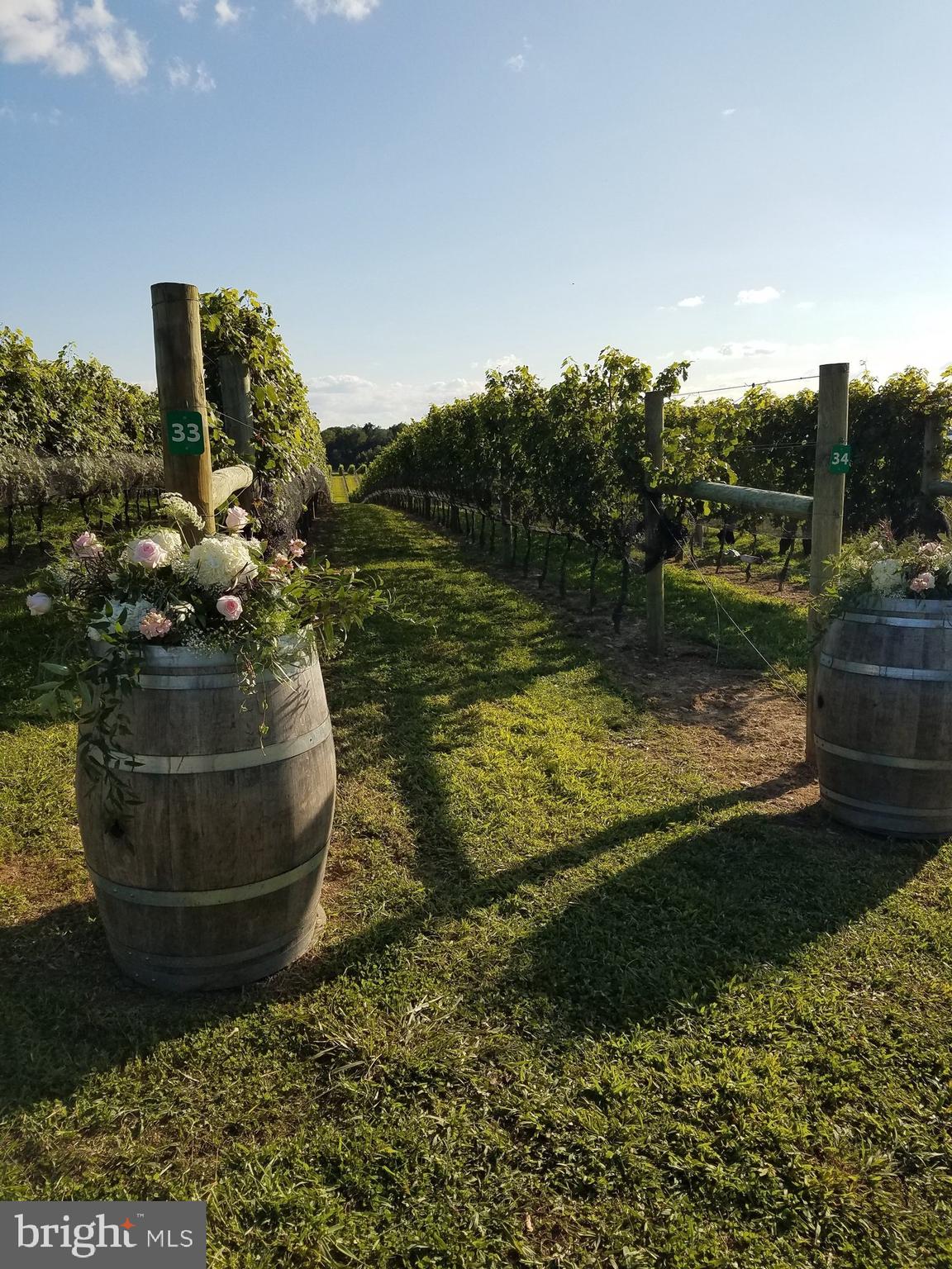 BOHEMIA MANOR - Residential