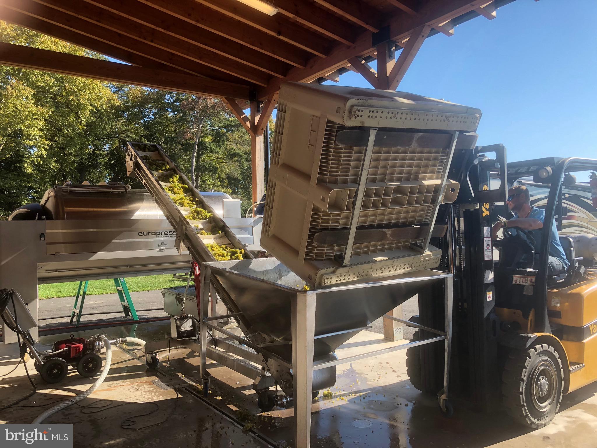 BOHEMIA MANOR - Residential