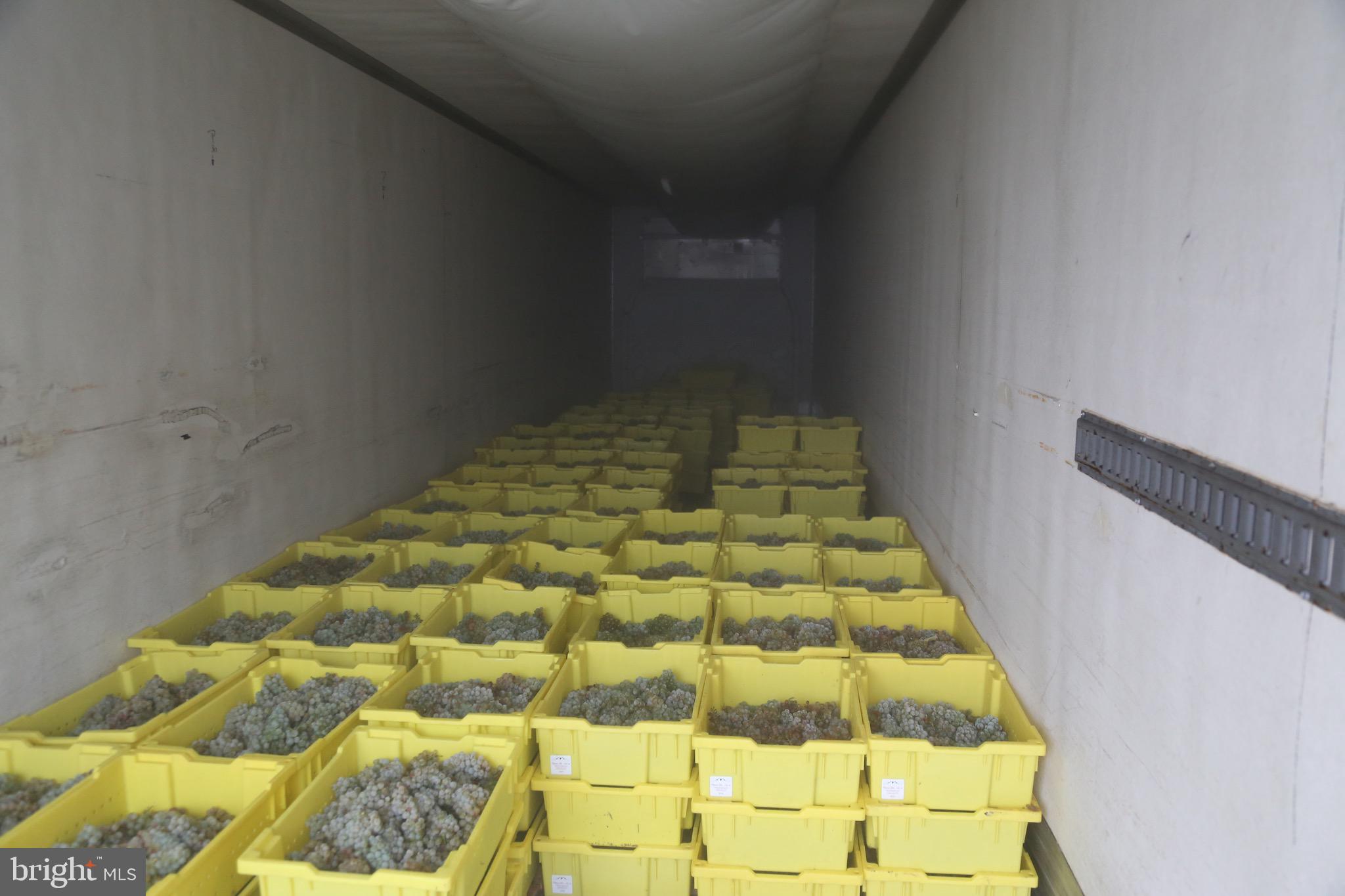 BOHEMIA MANOR - Residential