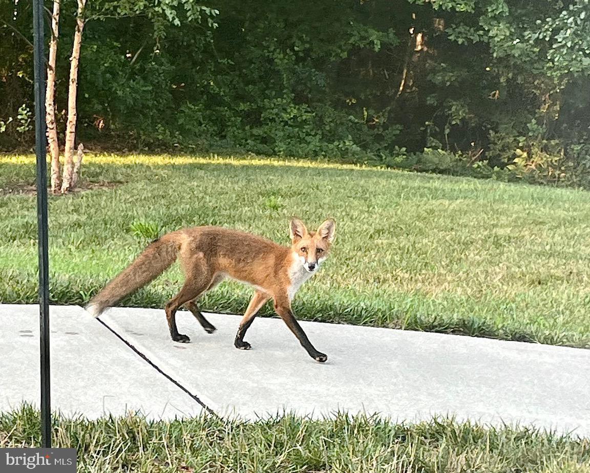 HOPKINS LANDING - Residential