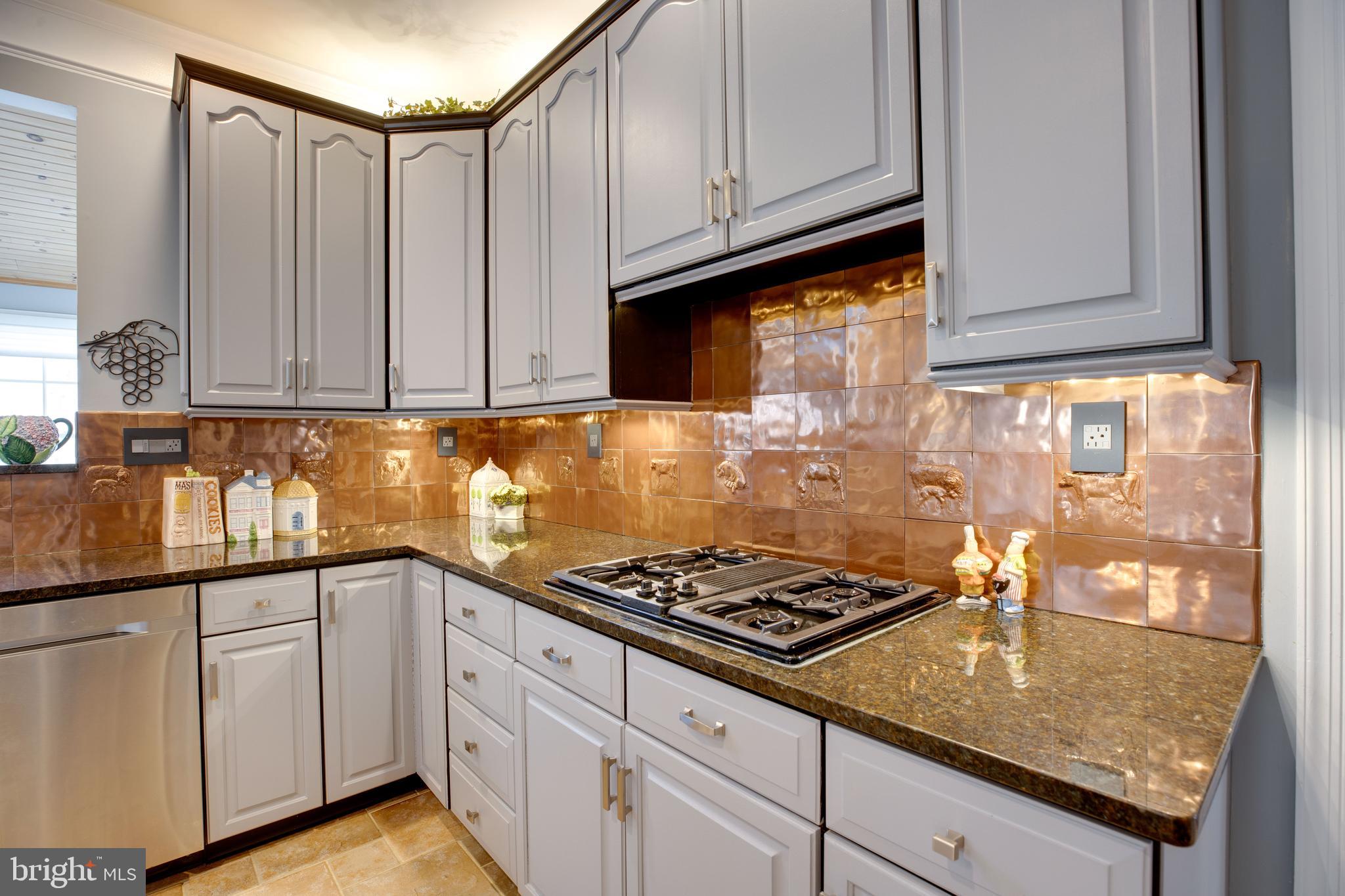 FAIR LAKES CHASE - Residential