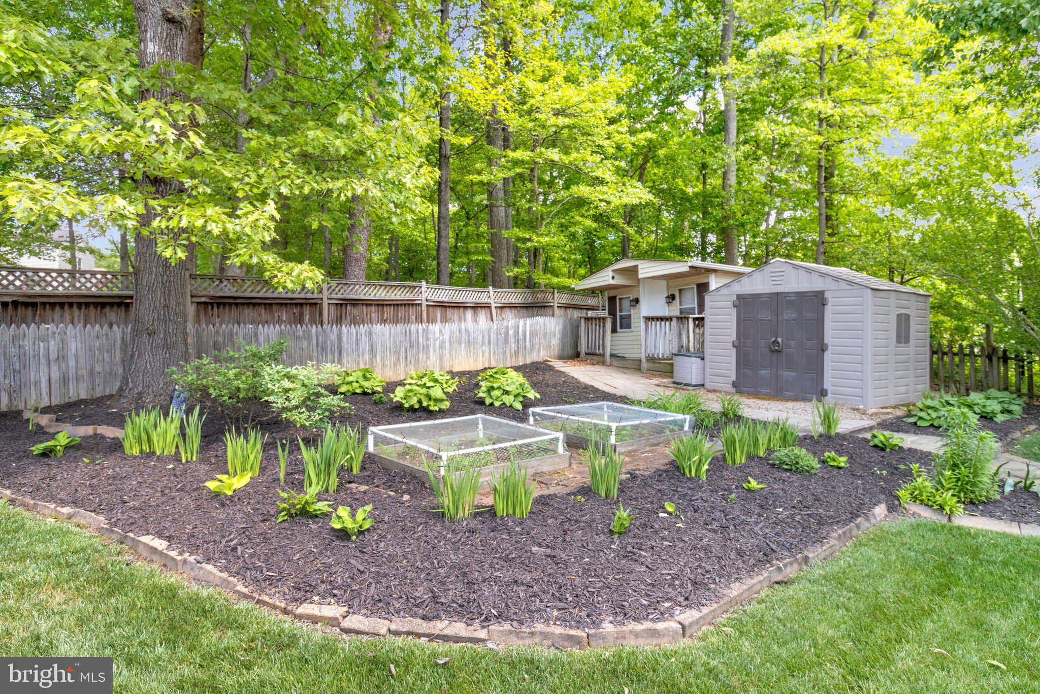 PEPPER TREE - Residential