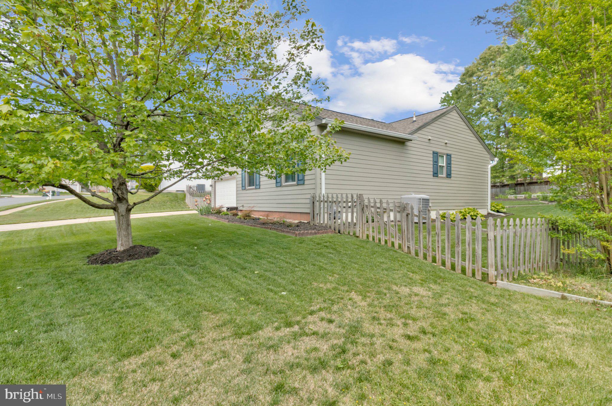 PEPPER TREE - Residential