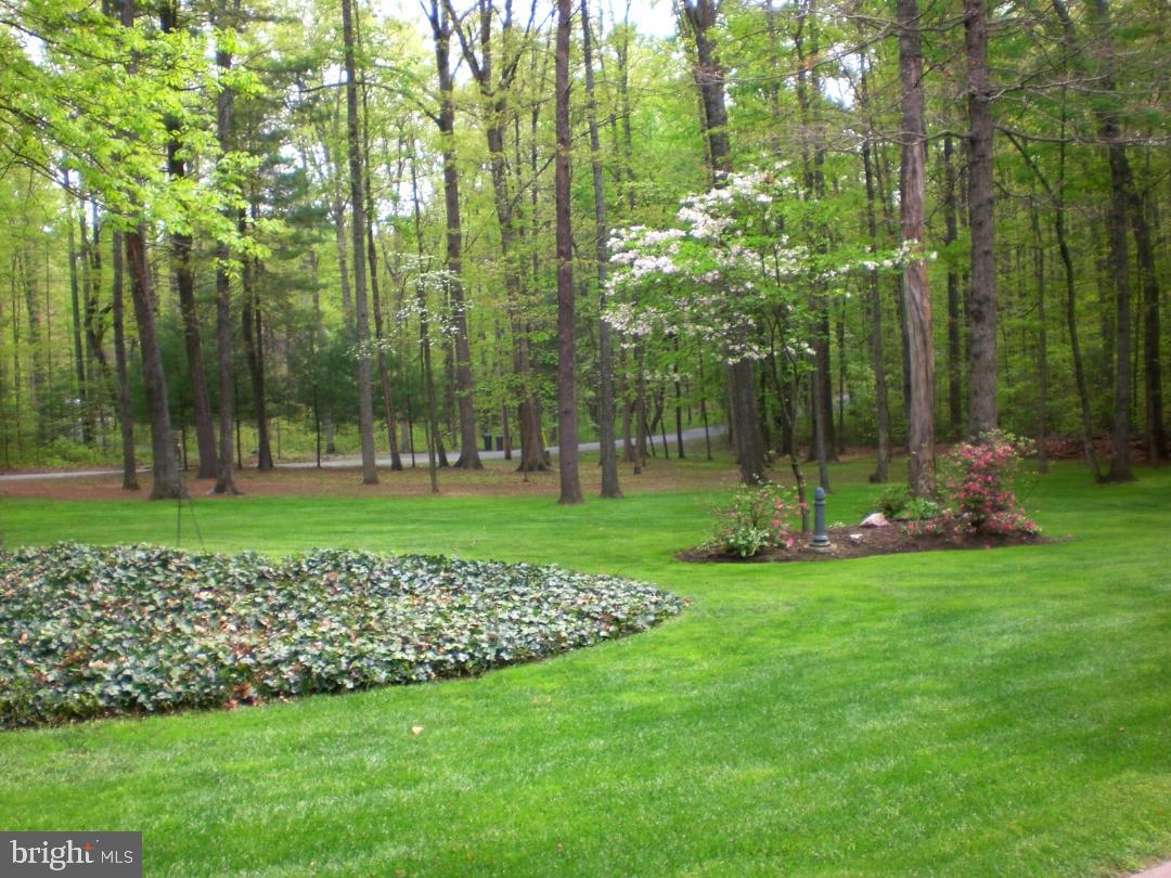 MALVERN OF MADISON - Residential